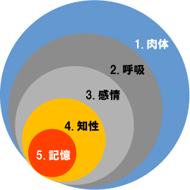 人間五蔵説